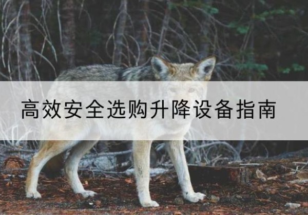 溧水升降货梯厂家推荐-*安全选购升降设备指南