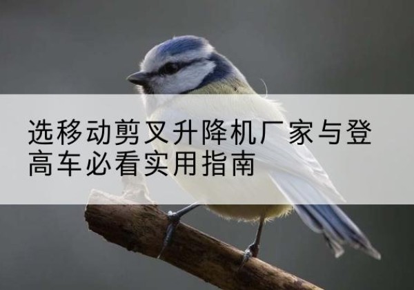溧水电动升降机厂家-选移动剪叉升降机厂家与登高车必看实用指南