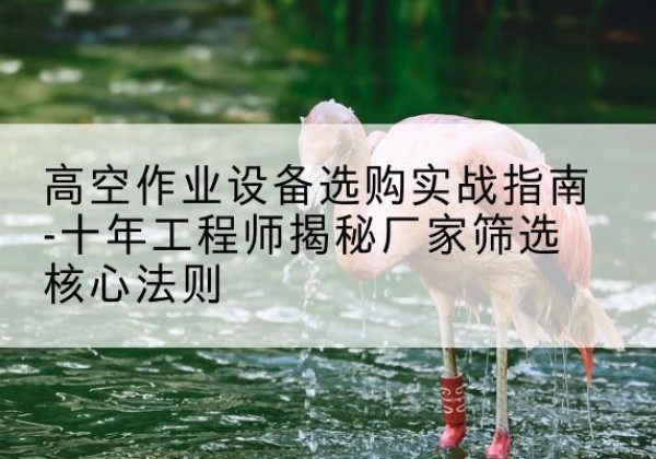溧水剪叉式升降机厂家-高空作业设备选购实战指南-十年工程师揭秘厂家筛选核心法则