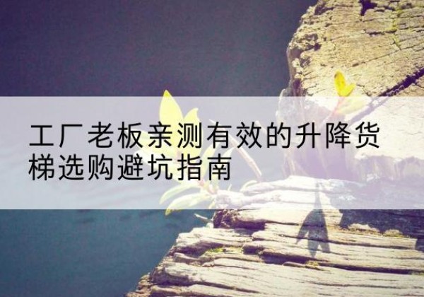 溧水升降货梯怎么选-工厂老板亲测有效的升降货梯选购避坑指南